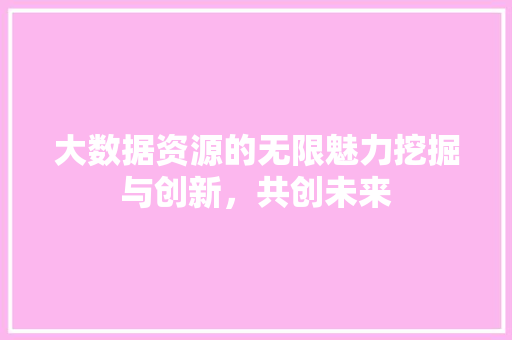 大数据资源的无限魅力挖掘与创新，共创未来  第1张