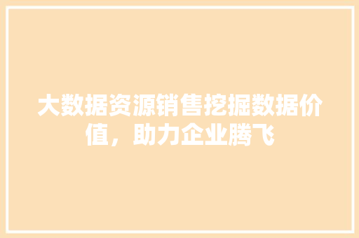 大数据资源销售挖掘数据价值，助力企业腾飞