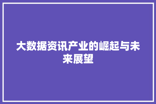 大数据资讯产业的崛起与未来展望  第1张