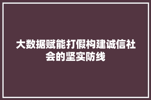大数据赋能打假构建诚信社会的坚实防线