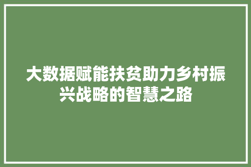大数据赋能扶贫助力乡村振兴战略的智慧之路