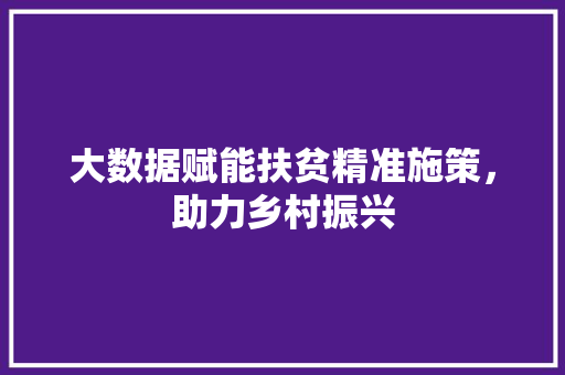 大数据赋能扶贫精准施策，助力乡村振兴  第1张