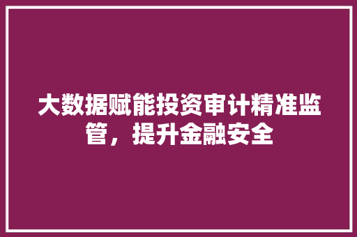 大数据赋能投资审计精准监管，提升金融安全  第1张