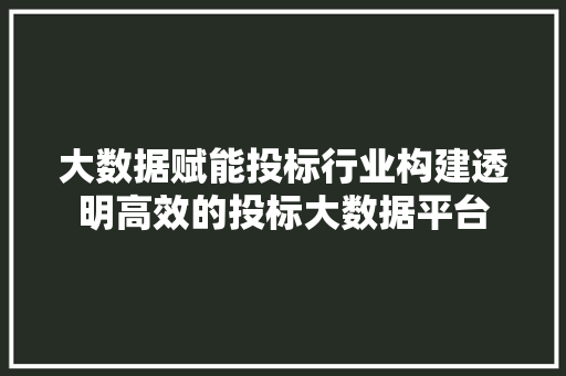 大数据赋能投标行业构建透明高效的投标大数据平台