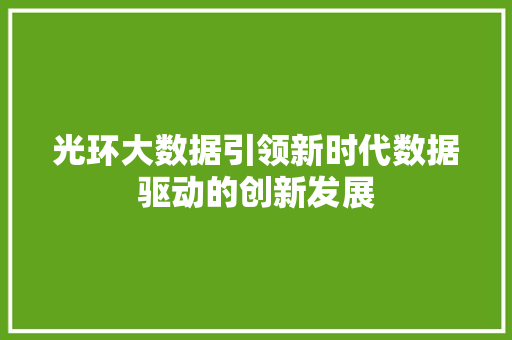 光环大数据引领新时代数据驱动的创新发展