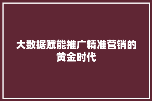 大数据赋能推广精准营销的黄金时代