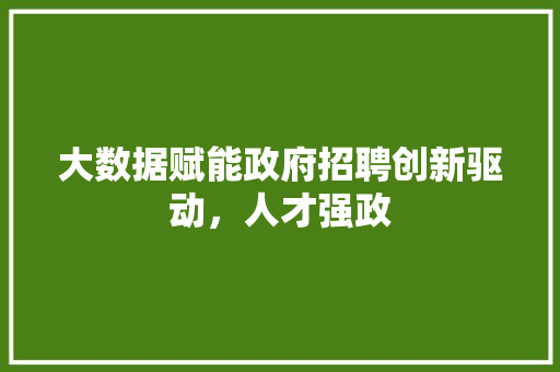 大数据赋能政府招聘创新驱动，人才强政  第1张