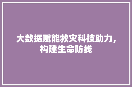 大数据赋能救灾科技助力，构建生命防线  第1张