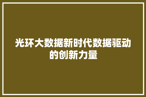 光环大数据新时代数据驱动的创新力量