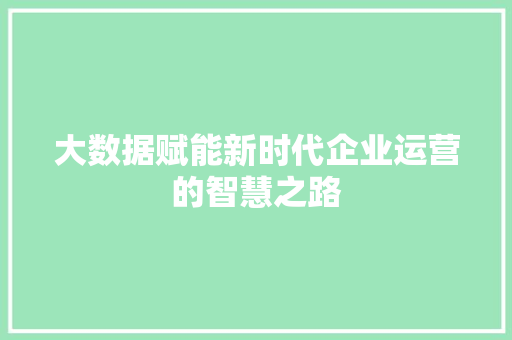 大数据赋能新时代企业运营的智慧之路