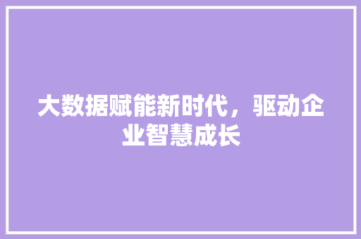 大数据赋能新时代，驱动企业智慧成长  第1张