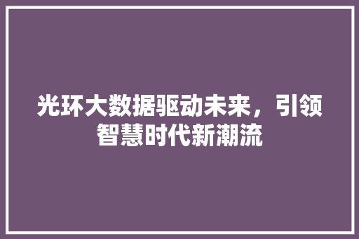 光环大数据驱动未来，引领智慧时代新潮流
