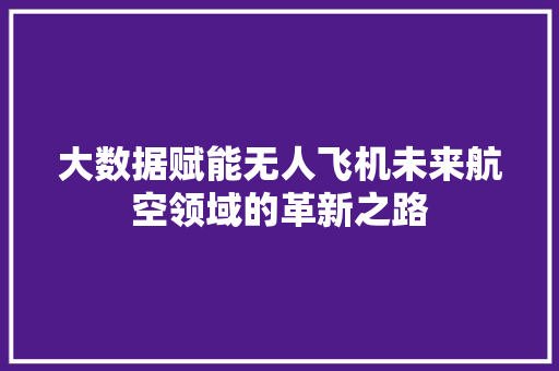 大数据赋能无人飞机未来航空领域的革新之路