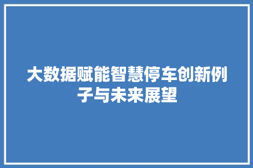 大数据赋能智慧停车创新例子与未来展望  第1张