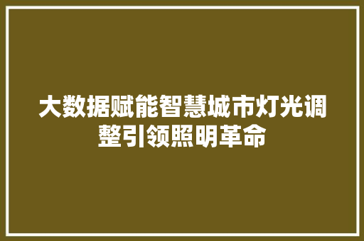 大数据赋能智慧城市灯光调整引领照明革命  第1张
