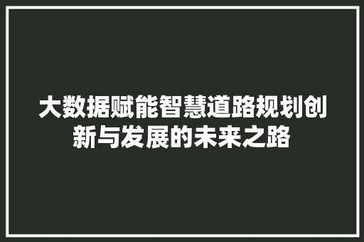 大数据赋能智慧道路规划创新与发展的未来之路