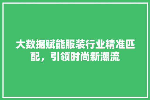 大数据赋能服装行业精准匹配，引领时尚新潮流  第1张