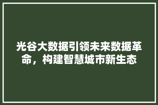 光谷大数据引领未来数据革命，构建智慧城市新生态