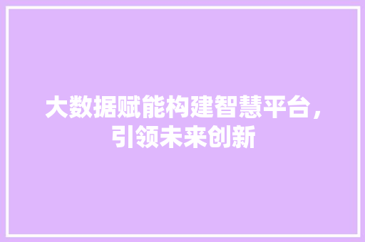 大数据赋能构建智慧平台，引领未来创新