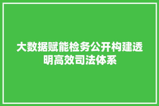 大数据赋能检务公开构建透明高效司法体系  第1张