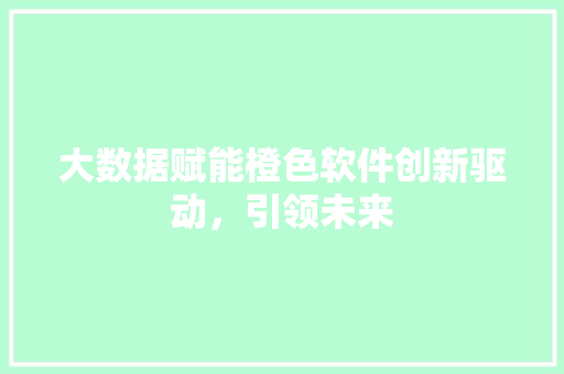 大数据赋能橙色软件创新驱动，引领未来