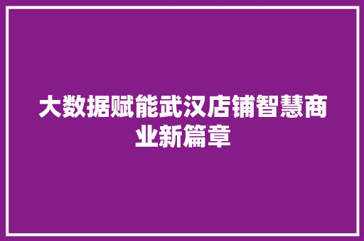 大数据赋能武汉店铺智慧商业新篇章  第1张