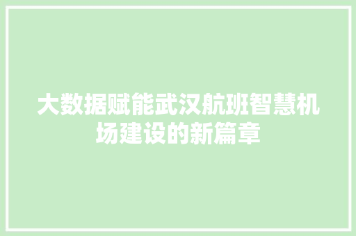 大数据赋能武汉航班智慧机场建设的新篇章