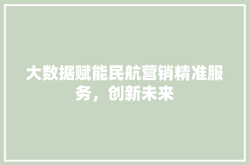大数据赋能民航营销精准服务，创新未来