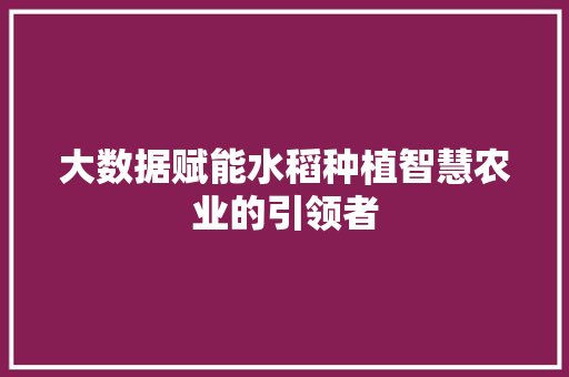 大数据赋能水稻种植智慧农业的引领者