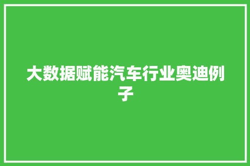 大数据赋能汽车行业奥迪例子  第1张