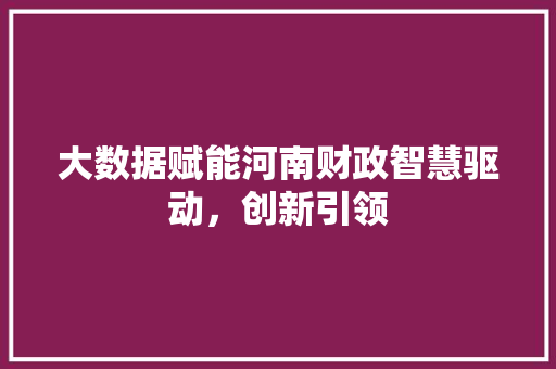 大数据赋能河南财政智慧驱动，创新引领  第1张