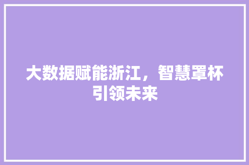 大数据赋能浙江，智慧罩杯引领未来