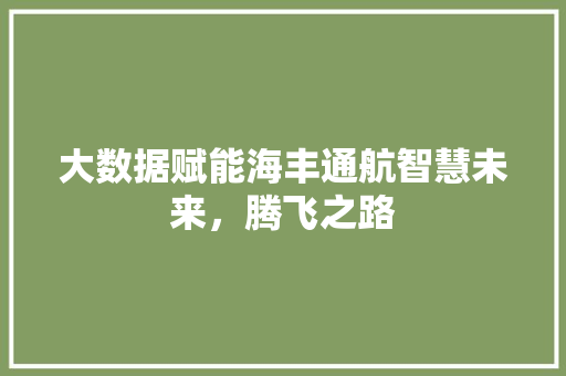 大数据赋能海丰通航智慧未来，腾飞之路
