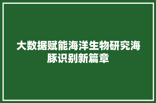 大数据赋能海洋生物研究海豚识别新篇章  第1张