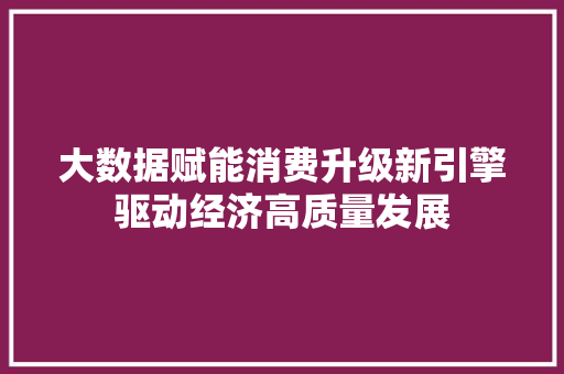 大数据赋能消费升级新引擎驱动经济高质量发展
