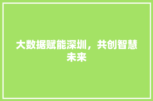 大数据赋能深圳，共创智慧未来  第1张