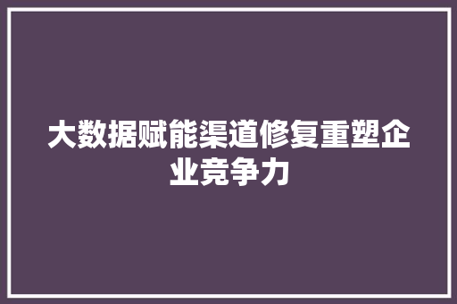 大数据赋能渠道修复重塑企业竞争力