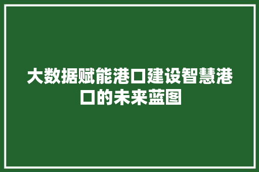 大数据赋能港口建设智慧港口的未来蓝图  第1张