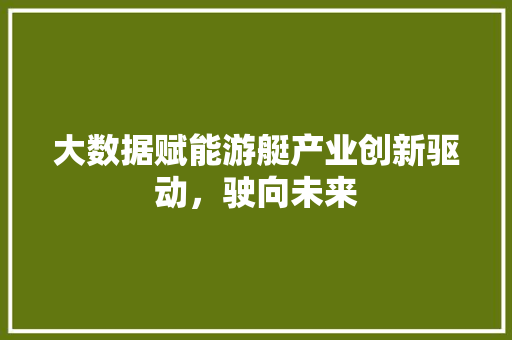 大数据赋能游艇产业创新驱动，驶向未来  第1张