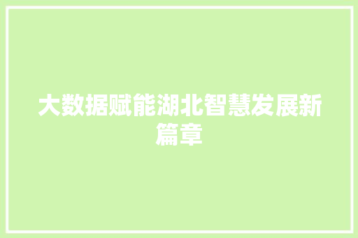 大数据赋能湖北智慧发展新篇章
