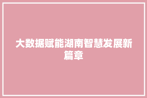 大数据赋能湖南智慧发展新篇章  第1张