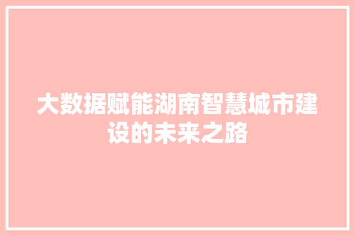 大数据赋能湖南智慧城市建设的未来之路  第1张