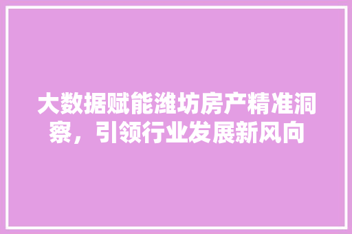 大数据赋能潍坊房产精准洞察，引领行业发展新风向  第1张