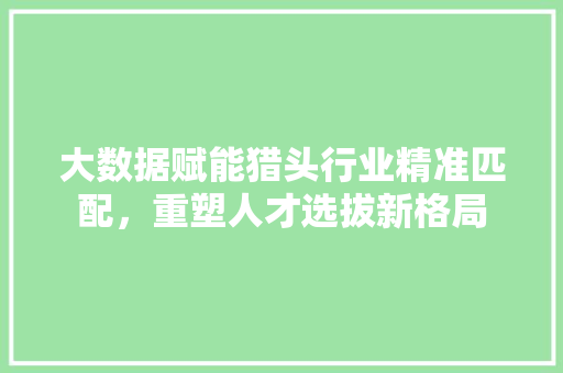大数据赋能猎头行业精准匹配，重塑人才选拔新格局