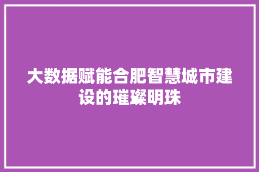 大数据赋能合肥智慧城市建设的璀璨明珠