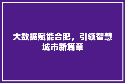 大数据赋能合肥，引领智慧城市新篇章