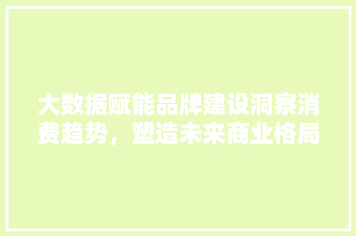 大数据赋能品牌建设洞察消费趋势，塑造未来商业格局  第1张