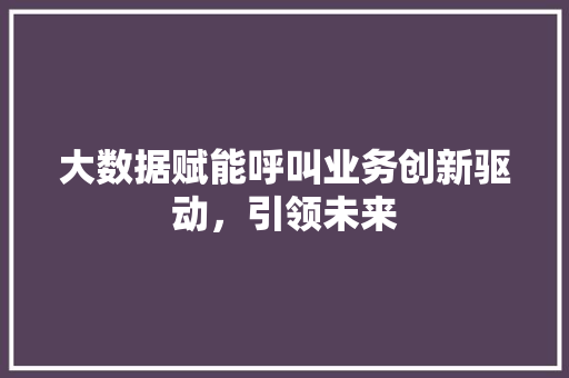大数据赋能呼叫业务创新驱动，引领未来