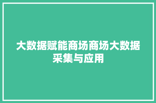 大数据赋能商场商场大数据采集与应用