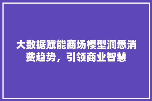 大数据赋能商场模型洞悉消费趋势，引领商业智慧